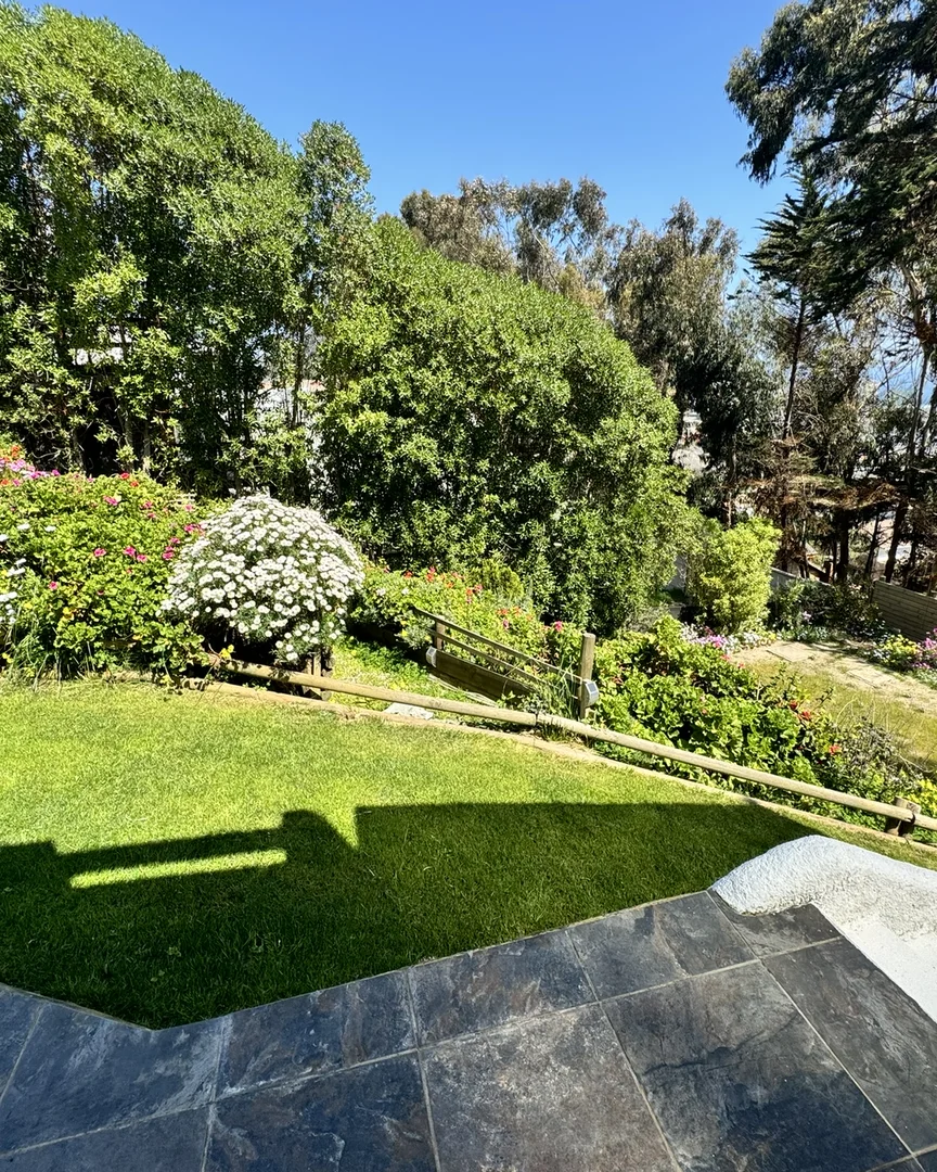 Rodéate de verde. Disfruta el jardín